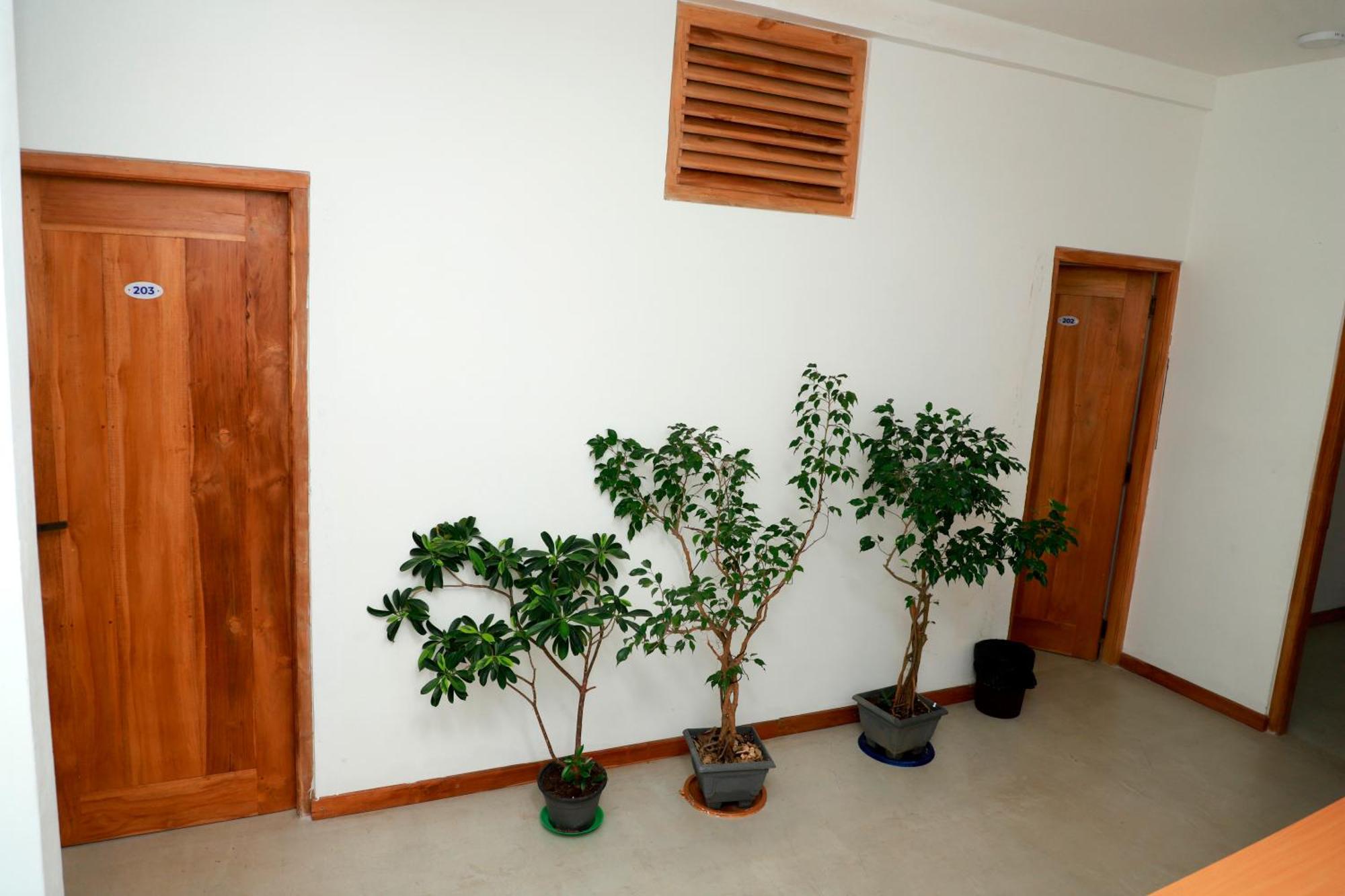 Green Edge Villa Hikkaduwa Exterior foto