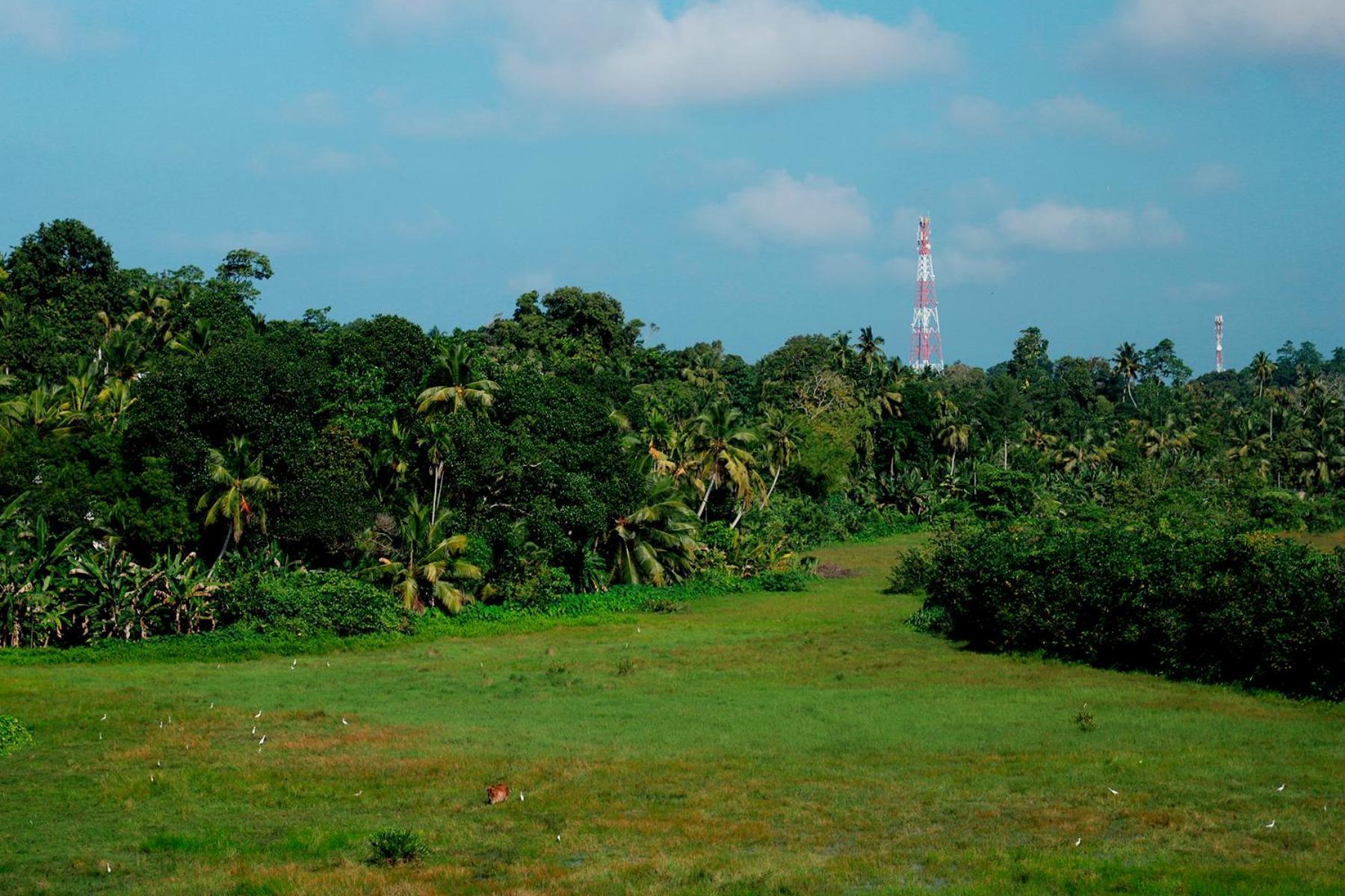 Green Edge Villa Hikkaduwa Exterior foto